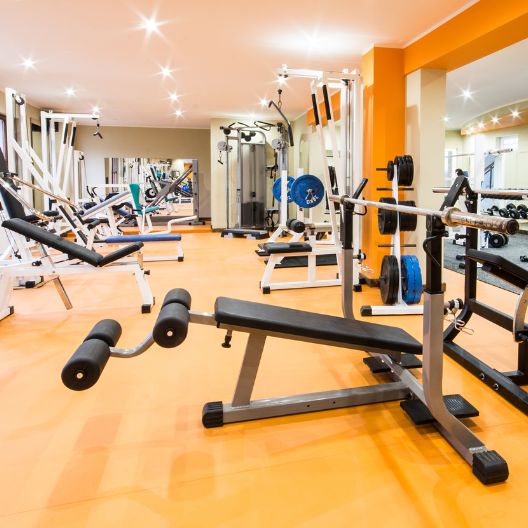 Gym Equipment